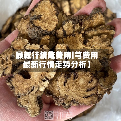 最近【川芎费用最新行情走势,川芎费用最新行情走势分析】