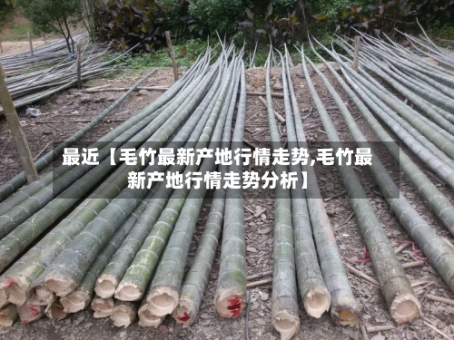 最近【毛竹最新产地行情走势,毛竹最新产地行情走势分析】-第2张图片
