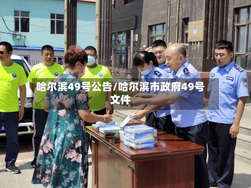 哈尔滨49号公告/哈尔滨市政府49号文件-第2张图片
