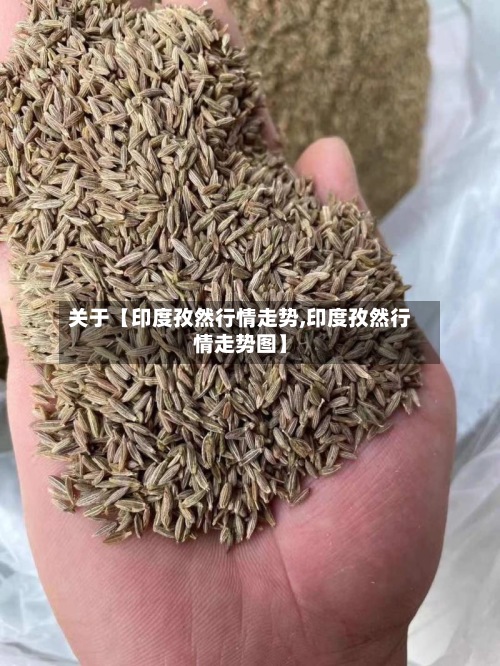 关于【印度孜然行情走势,印度孜然行情走势图】