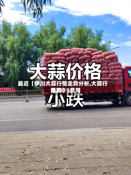 最近【伊川大蒜行情走势分析,大蒜行情2019费用走势】