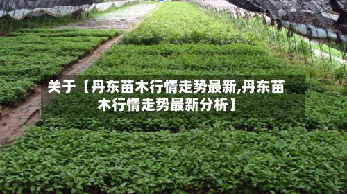 关于【丹东苗木行情走势最新,丹东苗木行情走势最新分析】