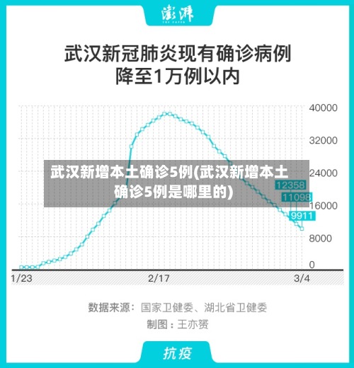 武汉新增本土确诊5例(武汉新增本土确诊5例是哪里的)-第2张图片