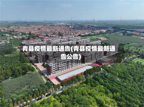 青县疫情最新通告(青县疫情最新通告公告)-第2张图片