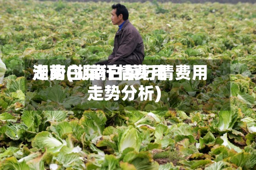 湖南白菜行情费用走势(湖南白菜行情费用走势分析)