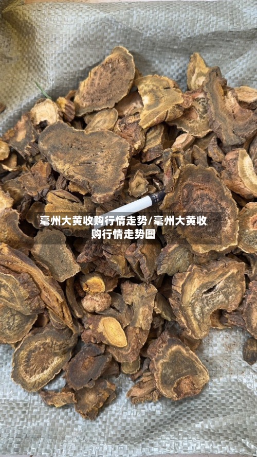 毫州大黄收购行情走势/毫州大黄收购行情走势图-第2张图片