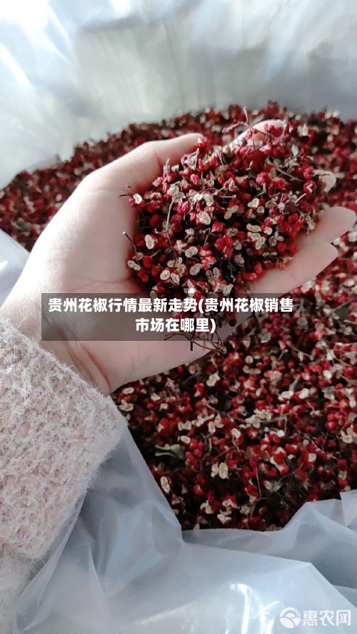 贵州花椒行情最新走势(贵州花椒销售市场在哪里)-第2张图片