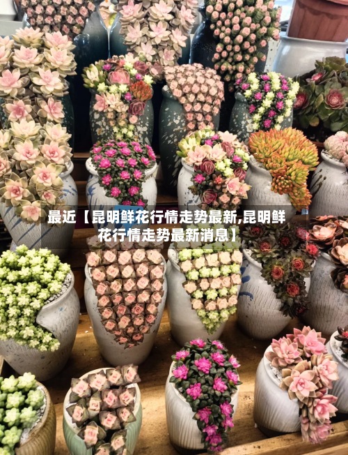 最近【昆明鲜花行情走势最新,昆明鲜花行情走势最新消息】