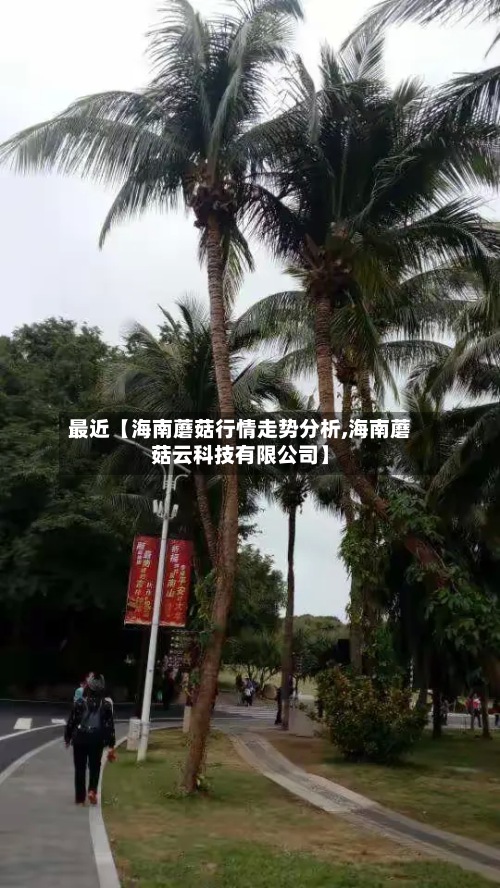 最近【海南蘑菇行情走势分析,海南蘑菇云科技有限公司】