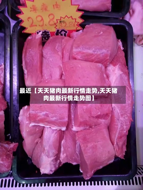最近【天天猪肉最新行情走势,天天猪肉最新行情走势图】