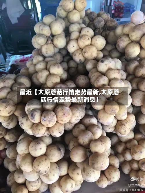 最近【太原蘑菇行情走势最新,太原蘑菇行情走势最新消息】