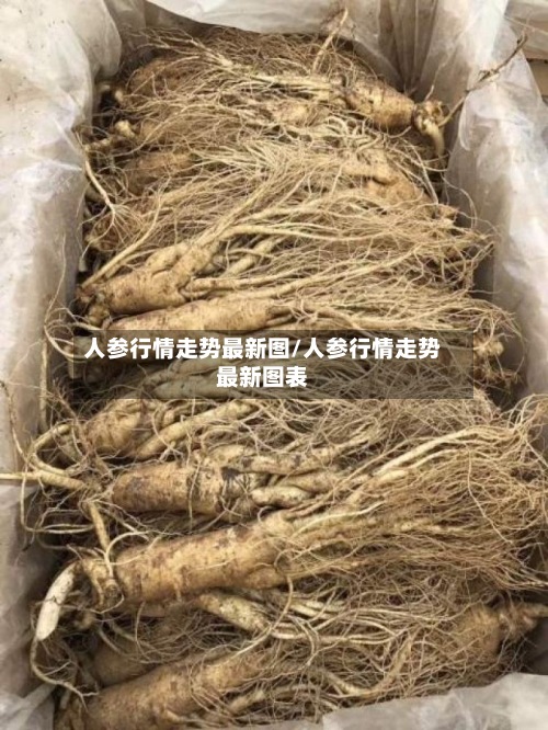 人参行情走势最新图/人参行情走势最新图表