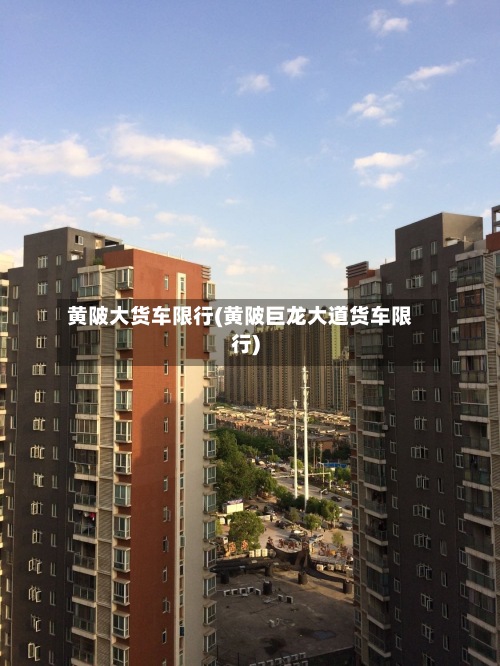 黄陂大货车限行(黄陂巨龙大道货车限行)-第2张图片