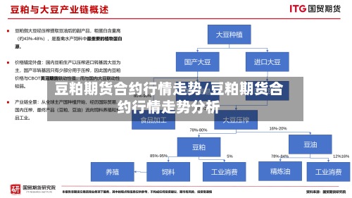 豆粕期货合约行情走势/豆粕期货合约行情走势分析