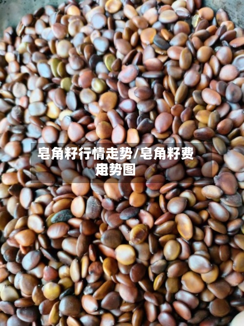 皂角籽行情走势/皂角籽费用走势图