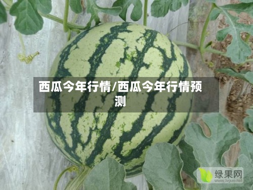 西瓜今年行情/西瓜今年行情预测-第2张图片