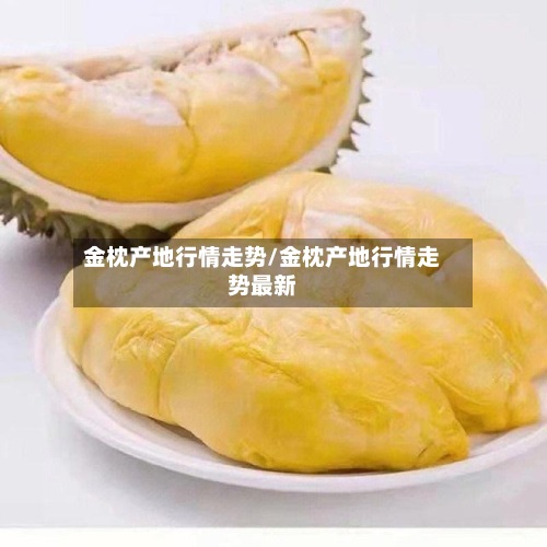 金枕产地行情走势/金枕产地行情走势最新