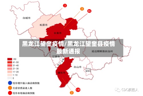 黑龙江望奎疫情/黑龙江望奎县疫情最新通报-第2张图片