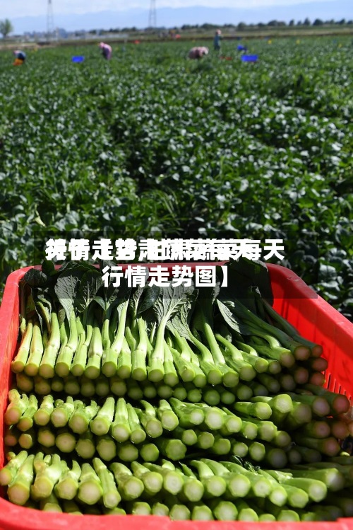 关于【甘肃蔬菜每天行情走势,甘肃蔬菜每天行情走势图】