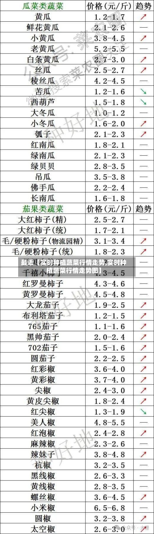 最近【实时种植蔬菜行情走势,实时种植蔬菜行情走势图】-第3张图片