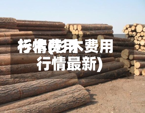杉木费用行情(杉木费用行情最新)-第2张图片