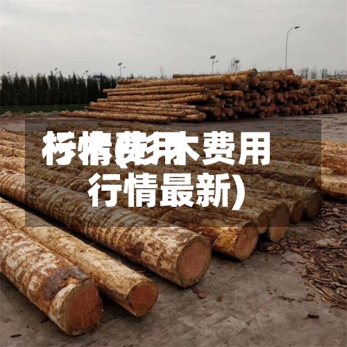 杉木费用行情(杉木费用行情最新)
