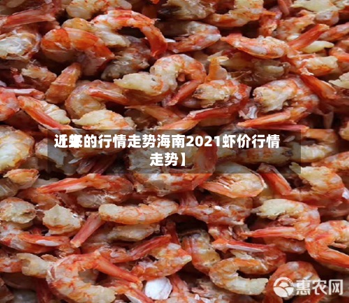 近来【虾的行情走势海南2021虾价行情走势】