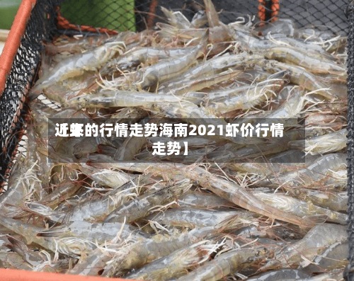 近来【虾的行情走势海南2021虾价行情走势】-第2张图片