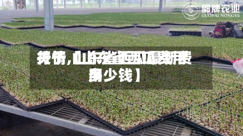 关于【山东省西瓜费用行情,山东省西瓜最新费用多少钱】