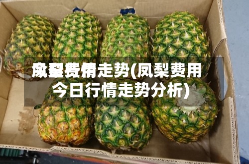 凤梨费用今日行情走势(凤梨费用今日行情走势分析)