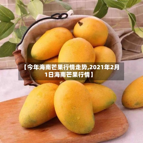 【今年海南芒果行情走势,2021年2月1日海南芒果行情】