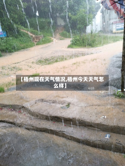【梧州现在天气情况,梧州今天天气怎么样】