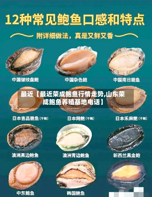 最近【最近荣成鲍鱼行情走势,山东荣成鲍鱼养殖基地电话】-第3张图片