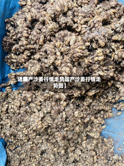 近来【国产沙姜行情走势国产沙姜行情走势图】
