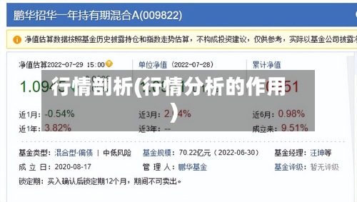 行情剖析(行情分析的作用)