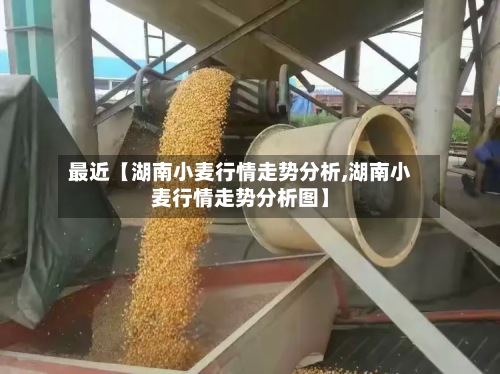 最近【湖南小麦行情走势分析,湖南小麦行情走势分析图】-第2张图片