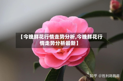 【今晚鲜花行情走势分析,今晚鲜花行情走势分析最新】-第3张图片
