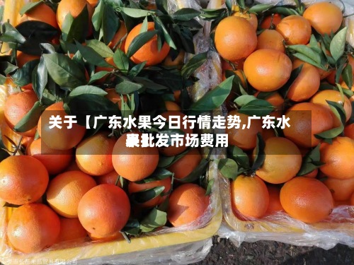 关于【广东水果今日行情走势,广东水果批发市场费用表】-第2张图片