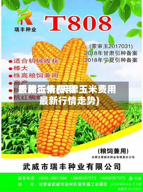 天津玉米费用最新行情(天津玉米费用最新行情走势)
