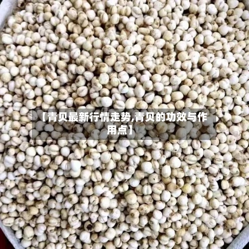 【青贝最新行情走势,青贝的功效与作用点】-第2张图片