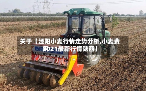 关于【泾阳小麦行情走势分析,小麦费用2021最新行情陕西】-第2张图片