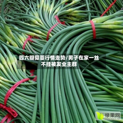 四六瓣蒜薹行情走势/男子在家一丝不挂被发业主群