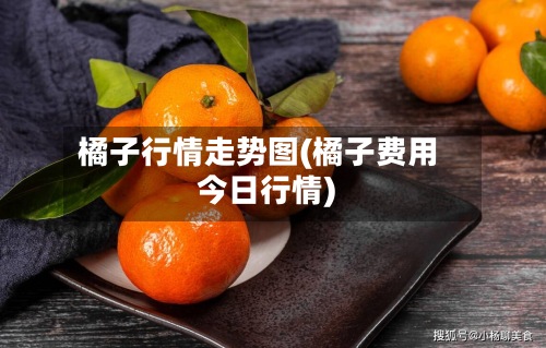 橘子行情走势图(橘子费用今日行情)-第2张图片