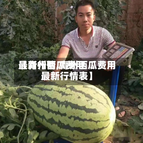 【青州西瓜费用最新行情,青州西瓜费用最新行情表】-第3张图片