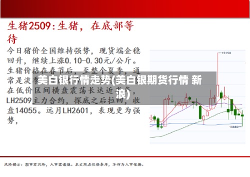 美白银行情走势(美白银期货行情 新浪)