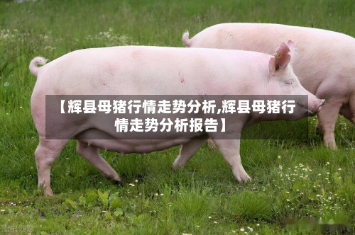 【辉县母猪行情走势分析,辉县母猪行情走势分析报告】
