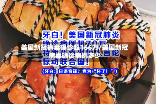美国新冠病毒确诊超166万/美国新冠病毒确诊病例多少-第3张图片