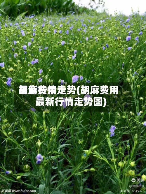 胡麻费用最新行情走势(胡麻费用最新行情走势图)-第3张图片