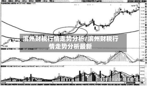 滨州财税行情走势分析/滨州财税行情走势分析最新-第2张图片