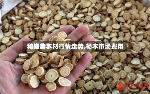 【杨木木材行情走势,杨木市场费用和走势】